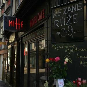 91在线视频免费看
