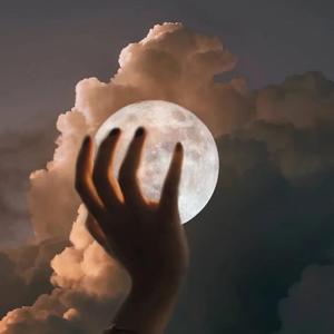 91在线视频免费看
